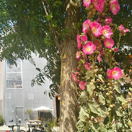 Bb In Amsterdam, 35m2, Gratis Parkeren Amsterdam